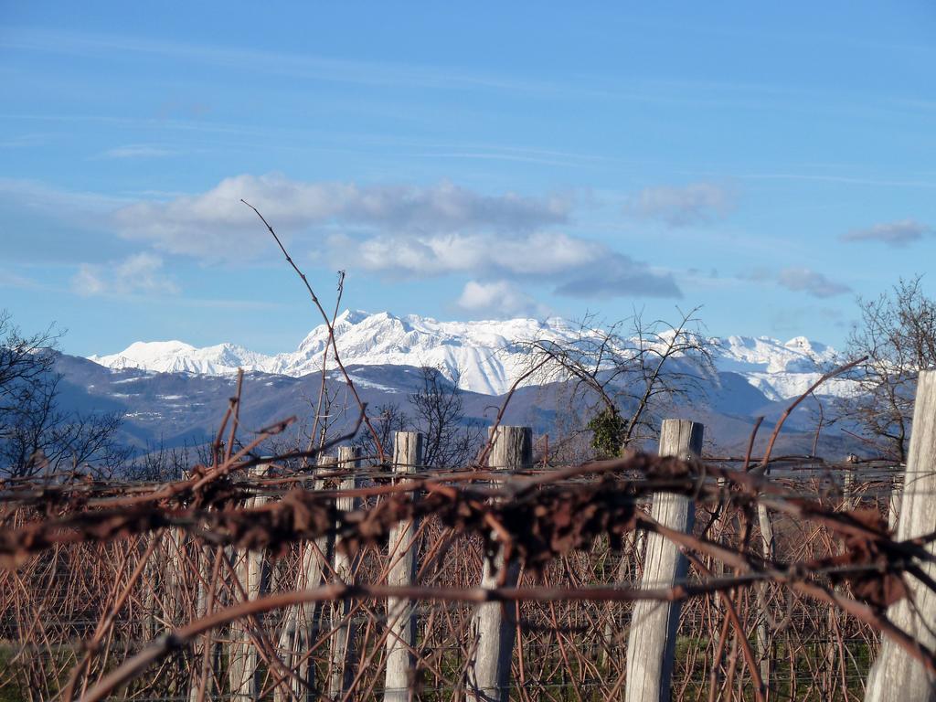 Tenuta Perusini Corno di Rosazzo Luaran gambar